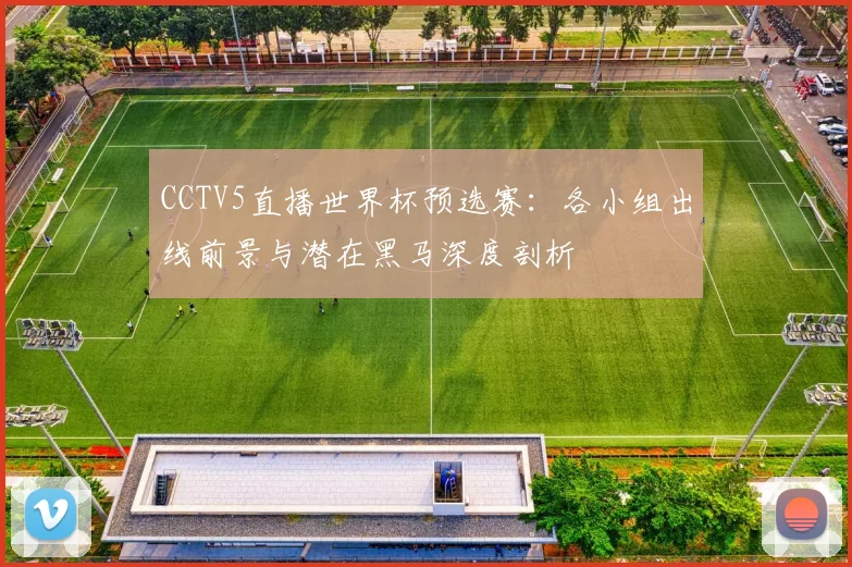 CCTV5直播世界杯预选赛：各小组出线前景与潜在黑马深度剖析