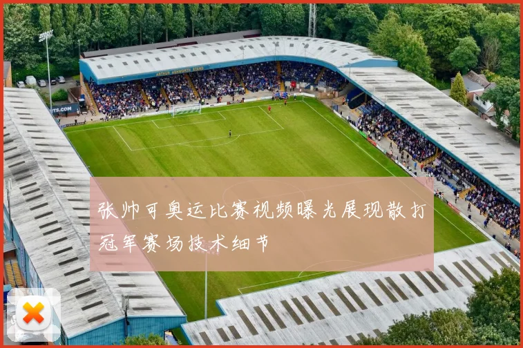 张帅可奥运比赛视频曝光展现散打冠军赛场技术细节