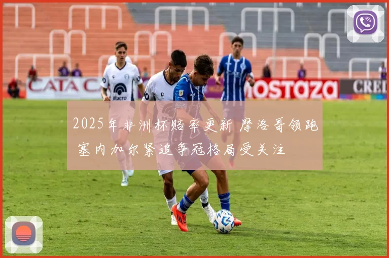 2025年非洲杯赔率更新 摩洛哥领跑 塞内加尔紧追争冠格局受关注