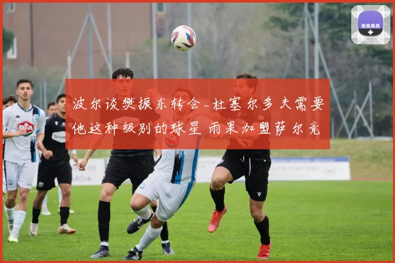 波尔谈樊振东转会_杜塞尔多夫需要他这种级别的球星 雨果加盟萨尔竞争激烈