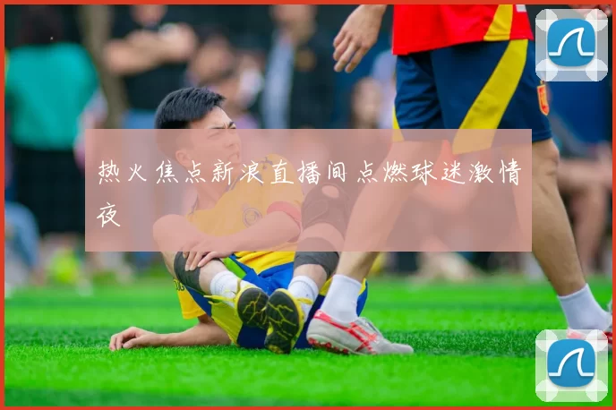 热火焦点新浪直播间点燃球迷激情夜