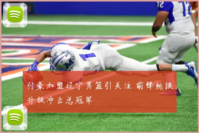 付豪加盟辽宁男篮引关注 前锋轮换升级冲击总冠军